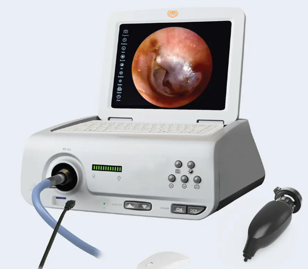 imgi 29 24 5 17image2